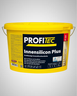 ProfiTec P131 Innensilicon Plus 12,5 l