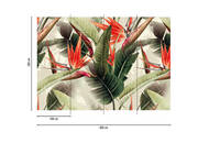 Cuba 20850160 - Digitaldruck Birds of Paradise