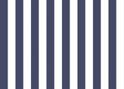 Simply Stripes 3 21575365